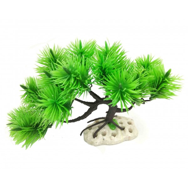 ΔΙΑΚΟΣΜΗΤΙΚΟ ΦΥΤΟ ΕΝΥΔΡΕΙΟΥ